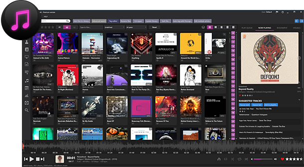 Music Collection Software